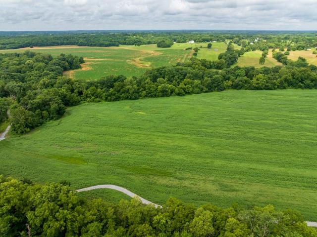 Land for sale in Holt, Missouri