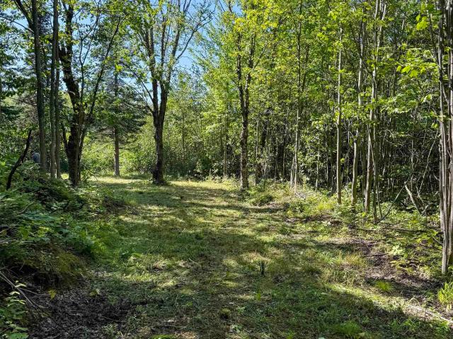 Land for sale in Michigan