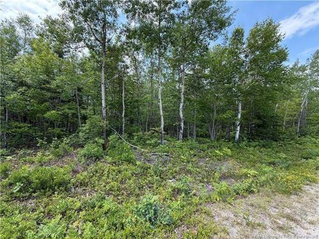 Land for sale in Miramichi, New Brunswick