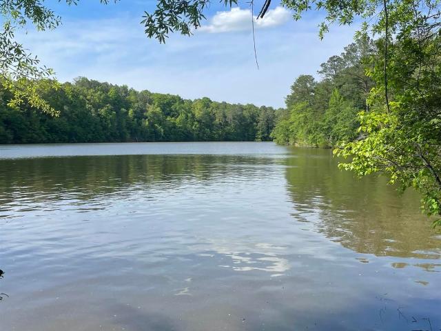 Land for sale in Wedowee, Alabama