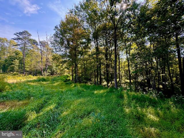 Land for sale in Todd Township, Huntingdon County
