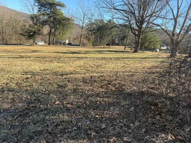 Land for sale in Albany, Kentucky