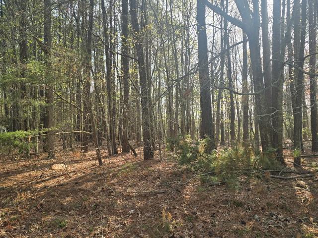 Land for sale in Virginia