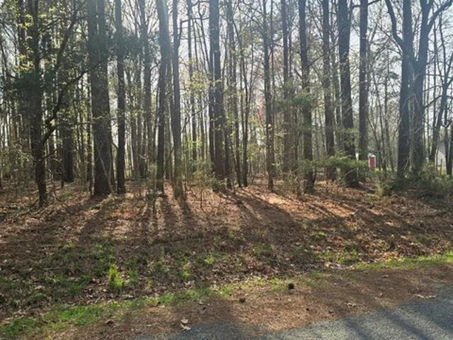 Land for sale in Virginia