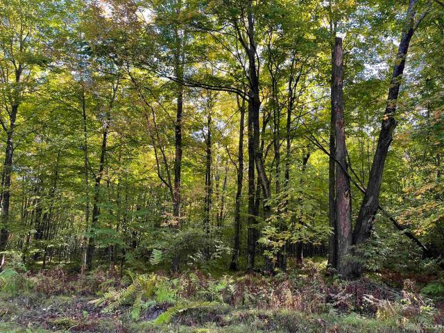 Land for sale in Wisconsin
