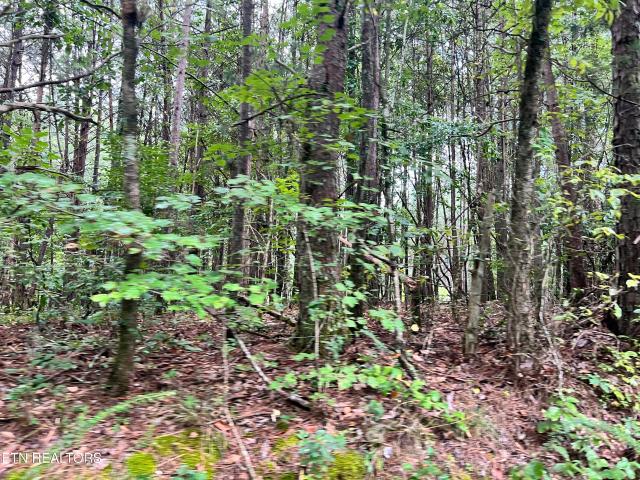 Land for sale in Tennessee