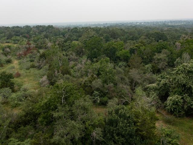 Land for sale in Waelder, Texas