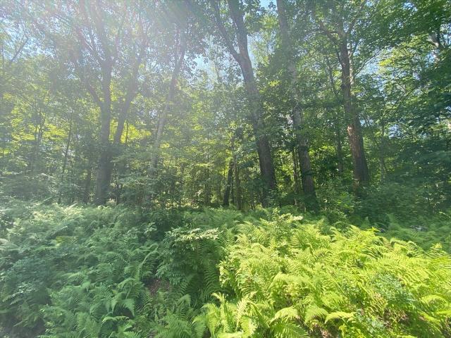 Land for sale in Hampden, Maine