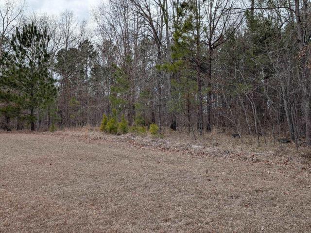 Land for sale in Ridgeway, South Carolina