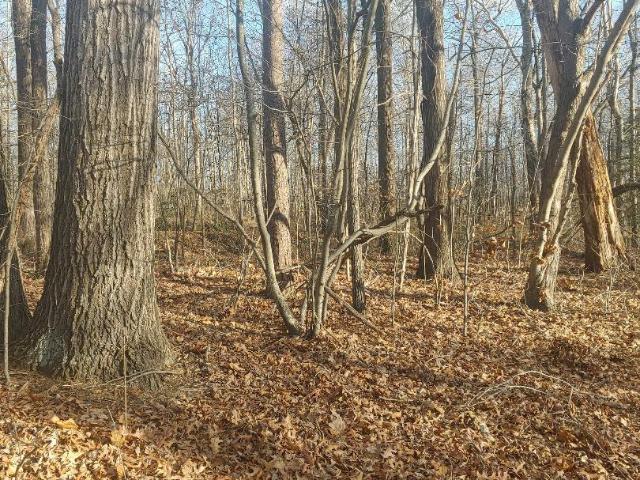 Land for sale in Virginia