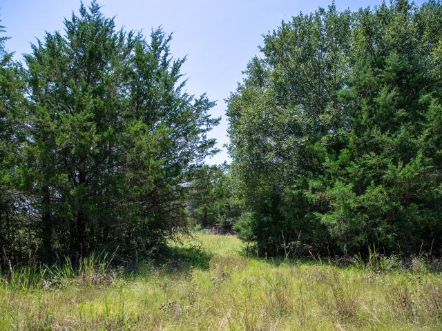 Land for sale in Robertson, Texas