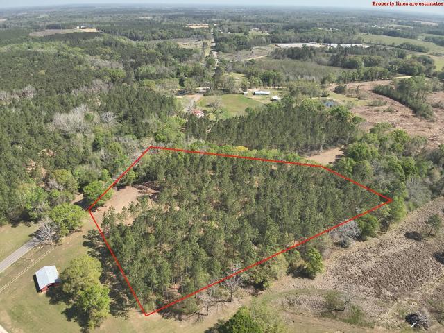 Land for sale in Geneva, Alabama