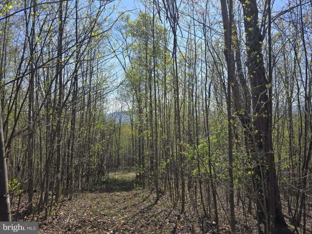 Land for sale in Virginia