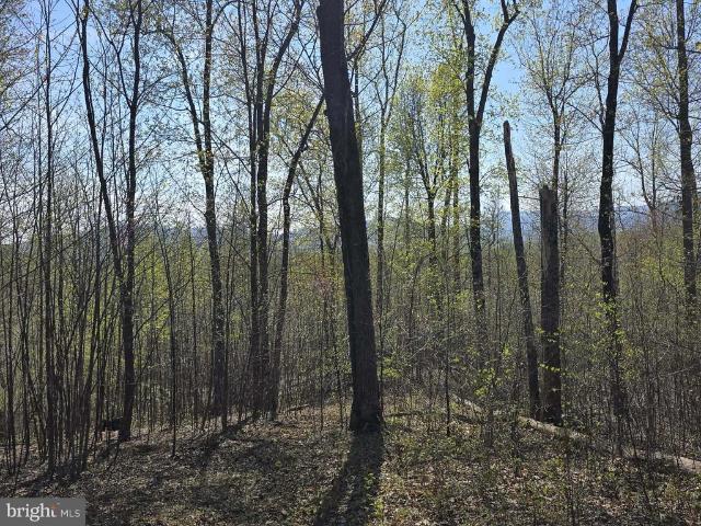 Land for sale in Virginia