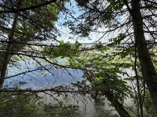 Land for sale in Beltrami, Minnesota
