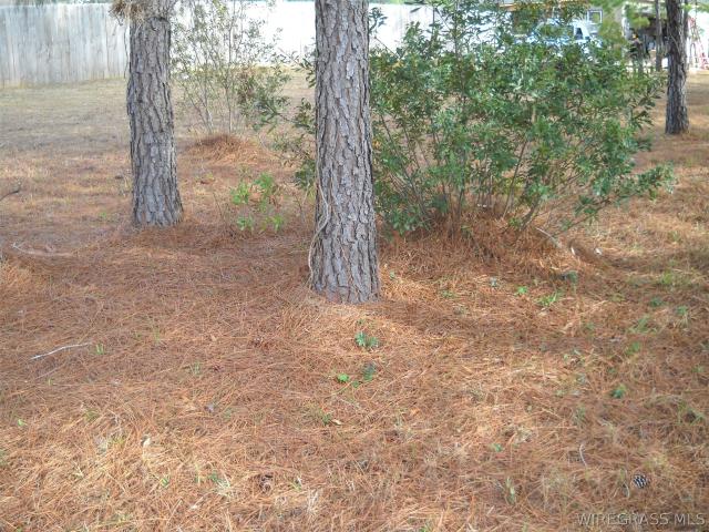Land for sale in Dale, Alabama