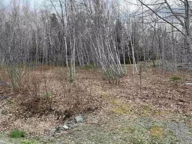 House for sale in Italy Cross, Nova Scotia