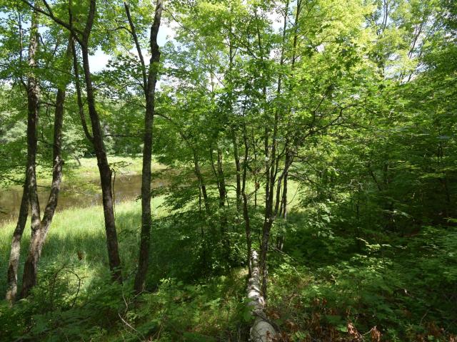 Land for sale in Wisconsin