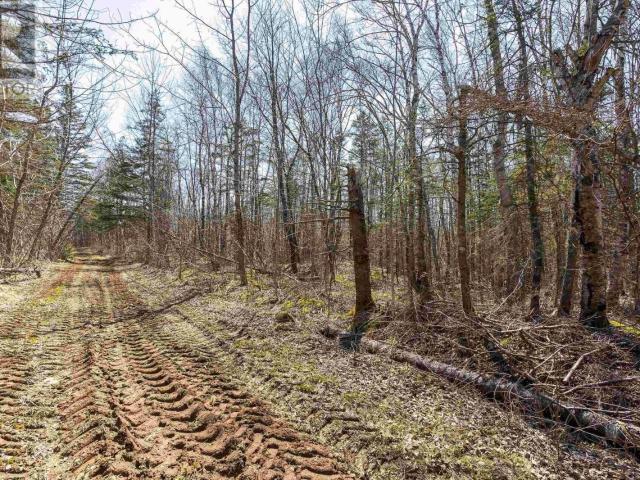 Land for sale in Nova Scotia