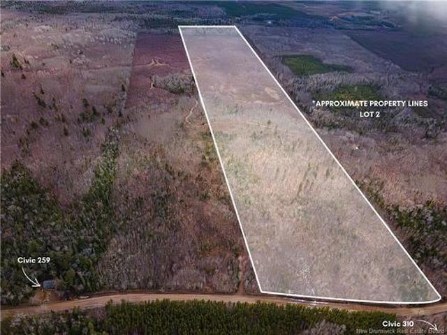 Land for sale in South Canaan, New Brunswick