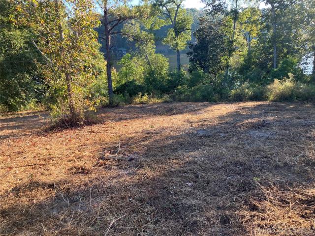 Land for sale in Andalusia, Covington County