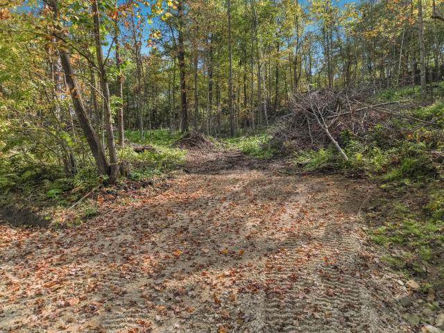 Land for sale in Dunn, Wisconsin