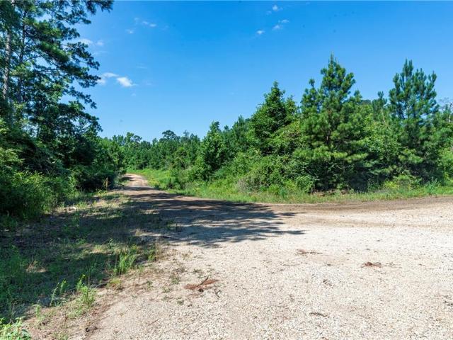 Land for sale in Pitkin, Vernon Parish