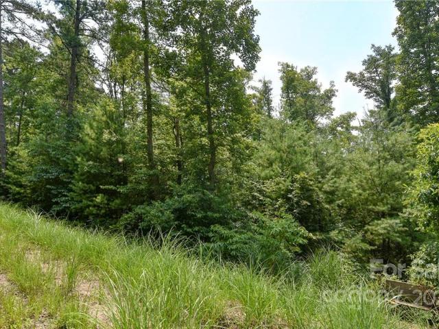 Land for sale in Marshall, North Carolina