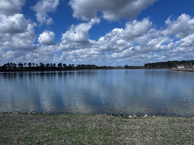 Land for sale in Lyons, Georgia