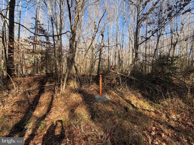 Land for sale in Virginia