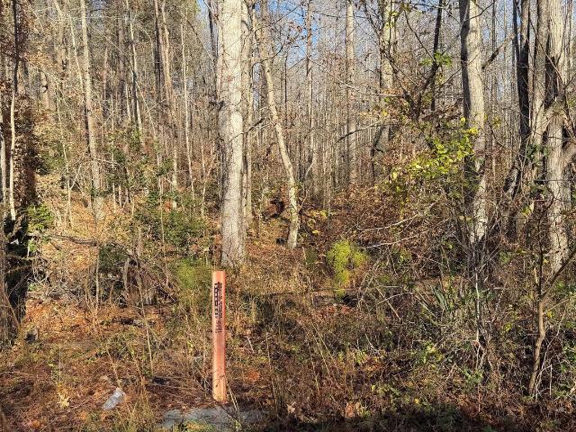 Land for sale in Virginia