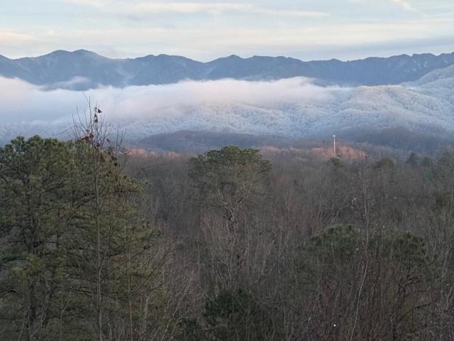 Land for sale in Tennessee