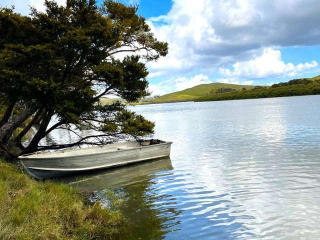 Property for sale in Wellsford