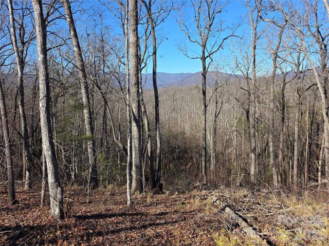 Land for sale in Old Fort, North Carolina