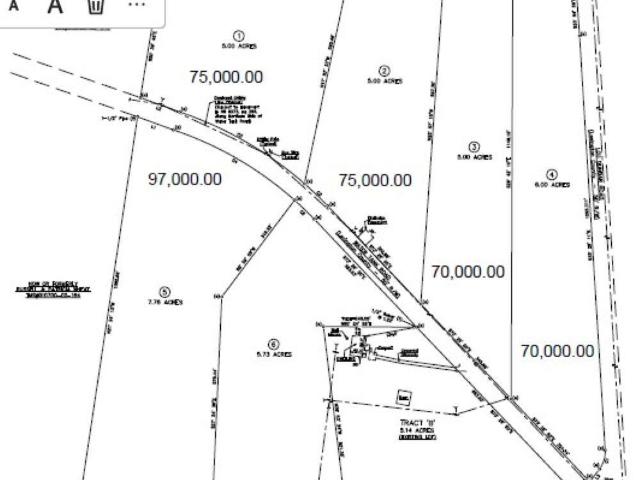 Land for sale in Pelion, South Carolina