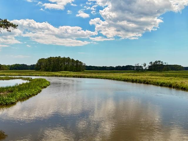 Land for sale in Virginia