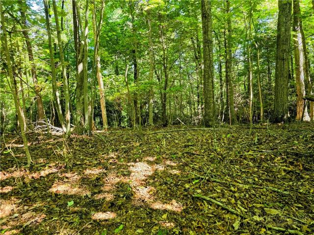 Land for sale in Watauga, North Carolina