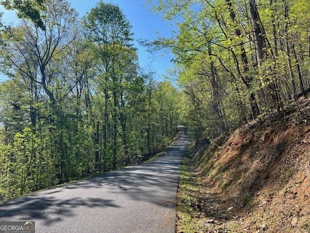 Land for sale in Hayesville, North Carolina