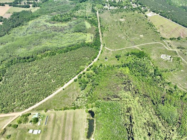 Land for sale in Geneva, Alabama
