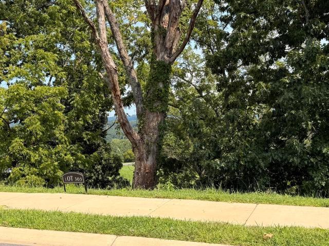 Land for sale in Tennessee