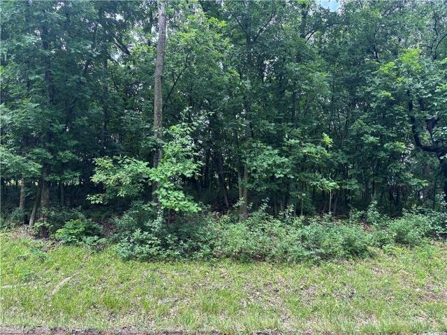 Land for sale in Altamont, Missouri