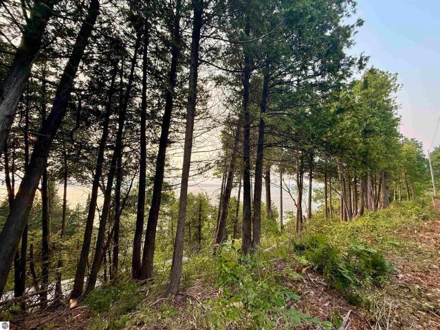 Land for sale in Lake Leelanau, Michigan
