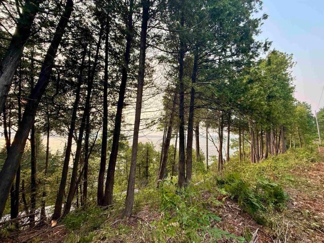 Land for sale in Lake Leelanau, Michigan