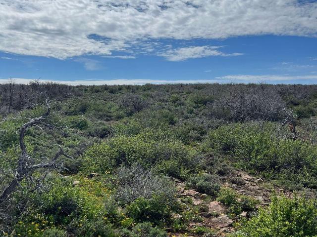 Land for sale in Dove Creek, Colorado
