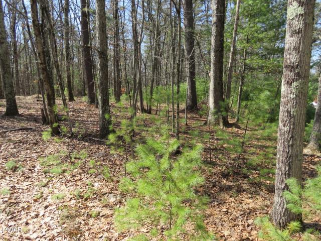 Land for sale in Beach Lake, Pennsylvania