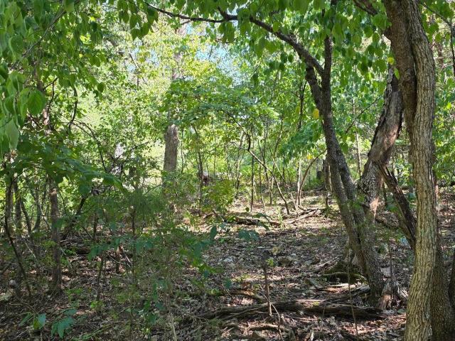 Land for sale in Diamond City, Boone County