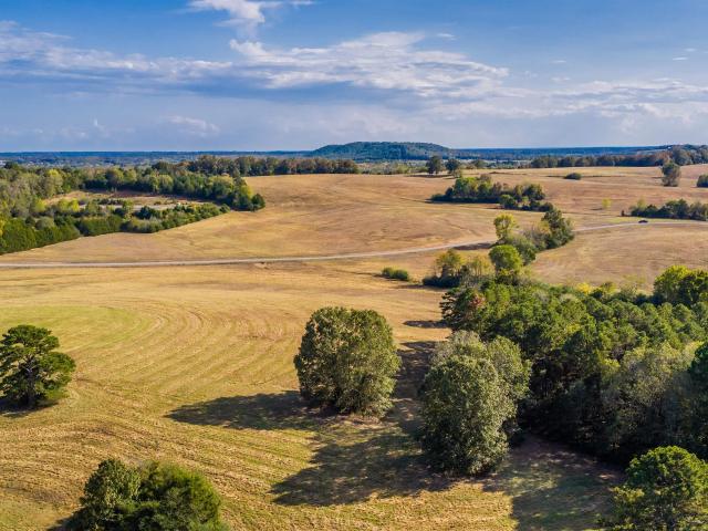 Land for sale in Quitman, Cleburne County