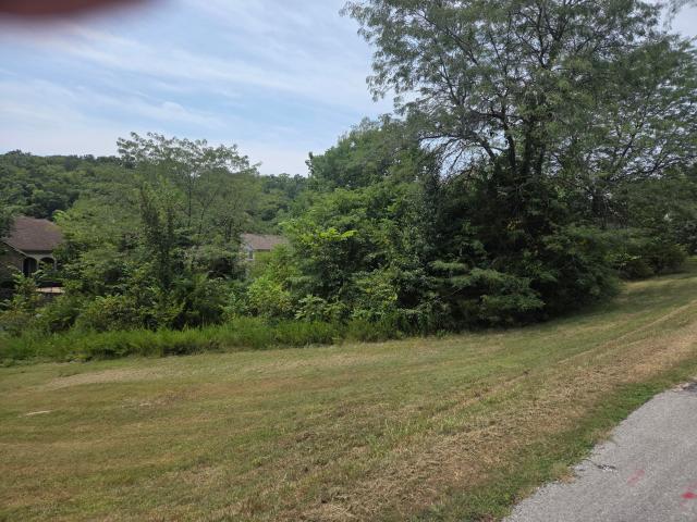 Land for sale in Stone, Missouri