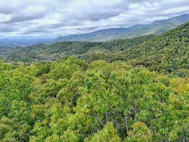 Land for sale in Hayesville, Clay County