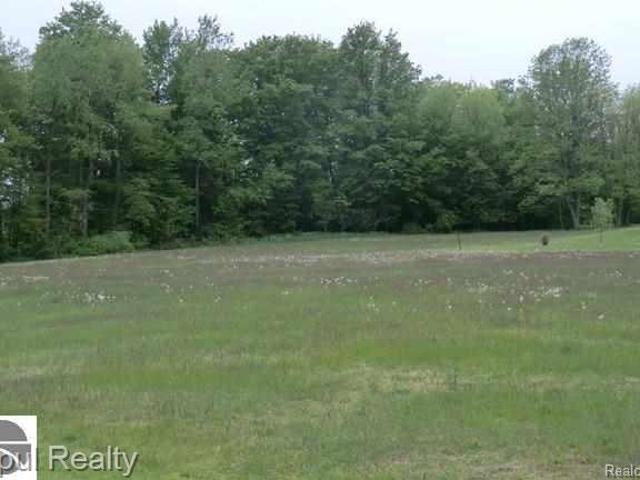 Land for sale in Arcadia, Michigan
